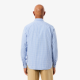 CAMISA LACOSTE